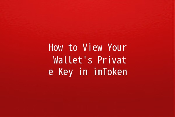 How to View Your Wallet's Private Key in imToken 🔑