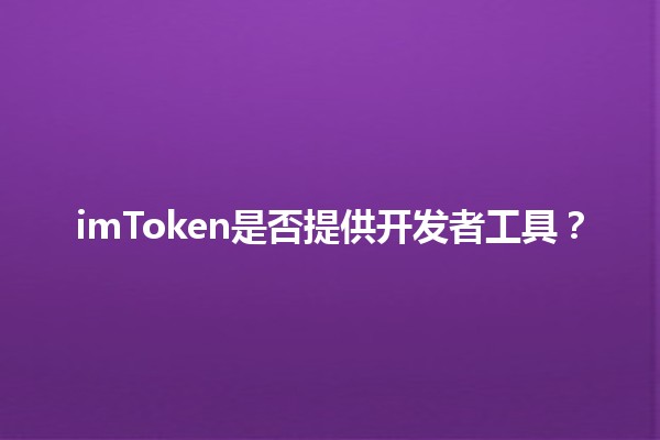 imToken是否提供开发者工具？🔍💻